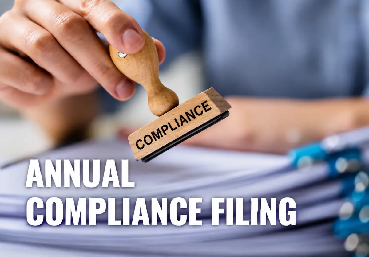 Company Compliance & Annual Filing